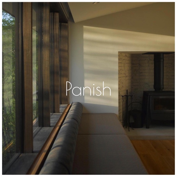 Panish album cover