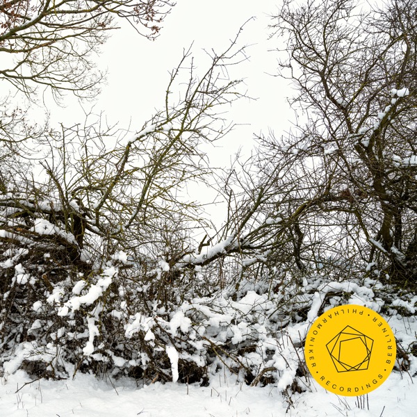 Rachmaninoff: Piano Concerto No. 2 album cover