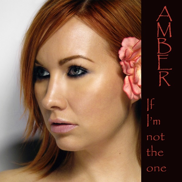 If I'm Not the One (Dance Mix) - Single album cover