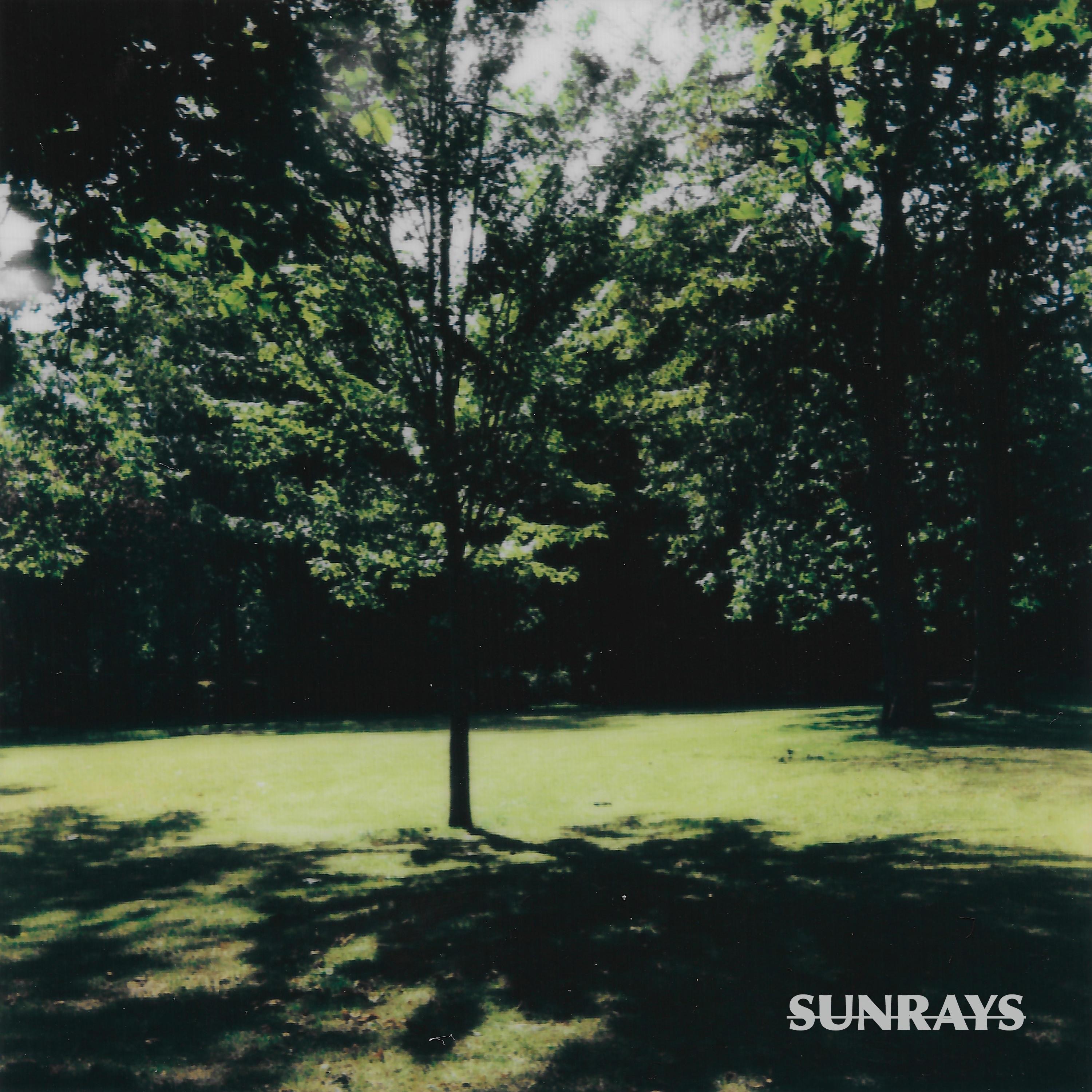 Sunrays - Single album cover