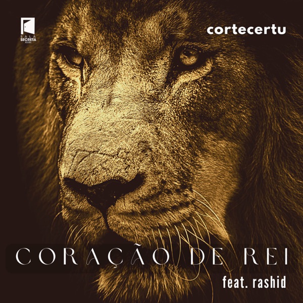 Coração de Rei (Remix) [feat. Rashid] - Single album cover