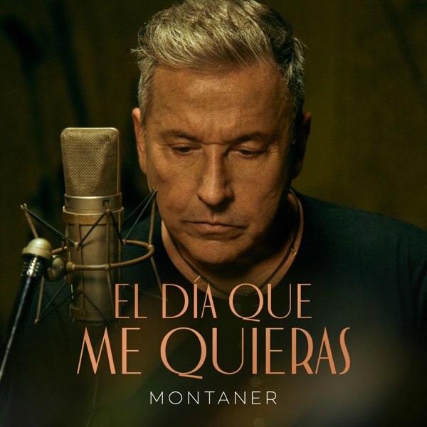El Día Que Me Quieras - Single album cover