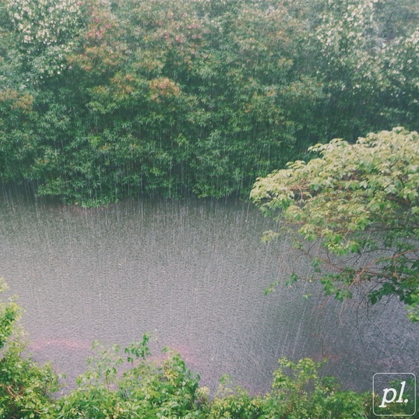 Oncidium - Single album cover