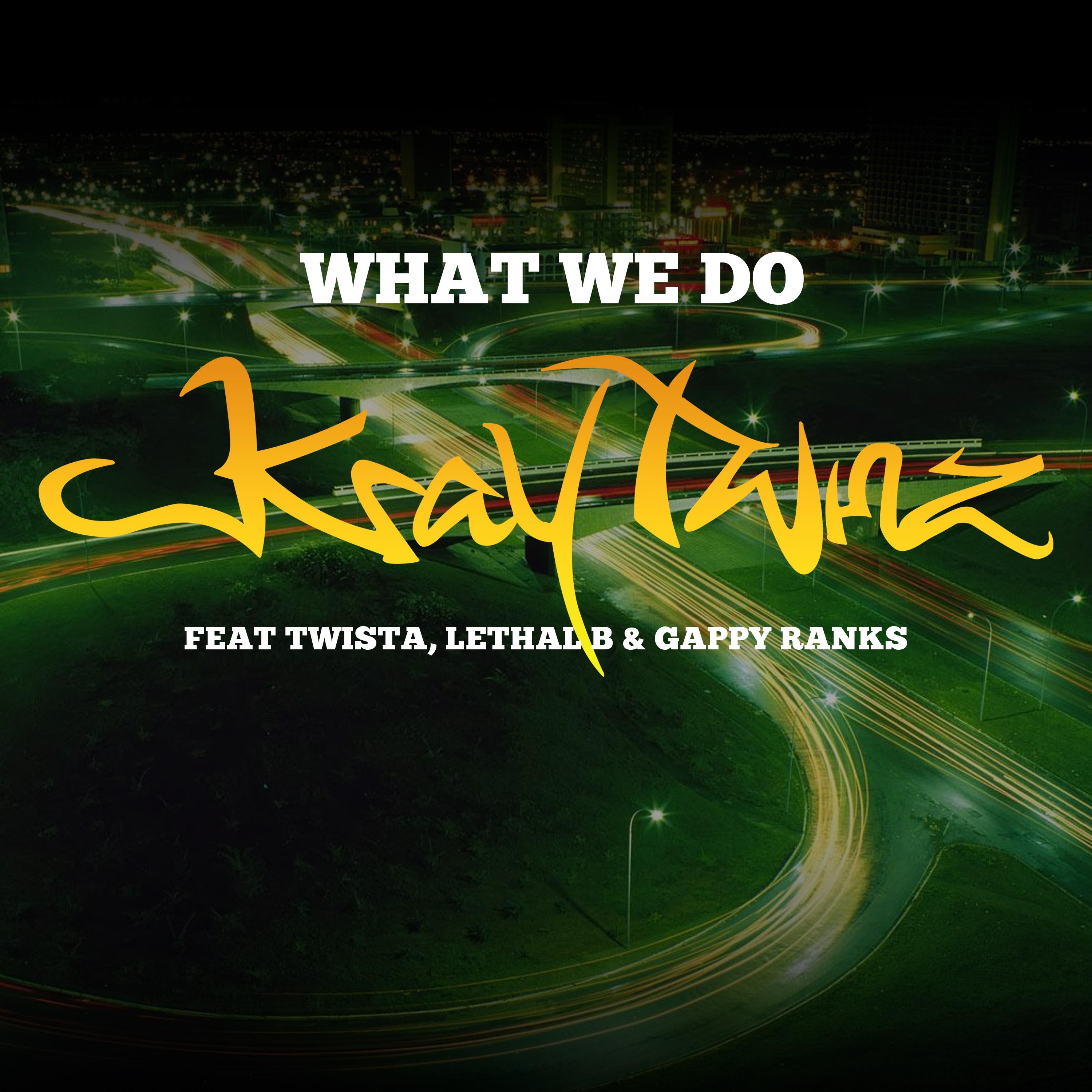 What We Do (feat. Gappy Ranks, Twista & Lethal B) - Single album cover