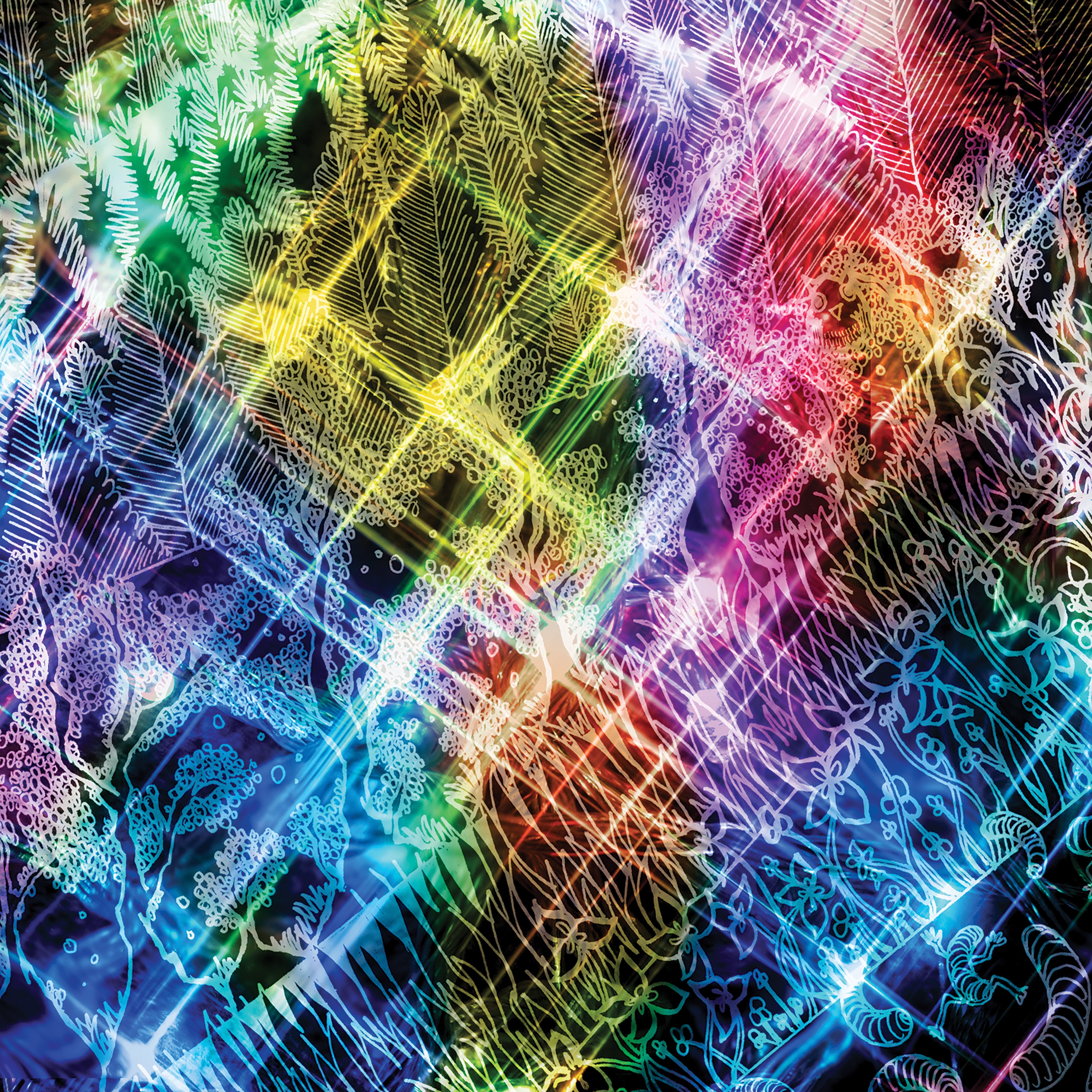 In the Wooded Forest (Remixes & B-Sides) album cover