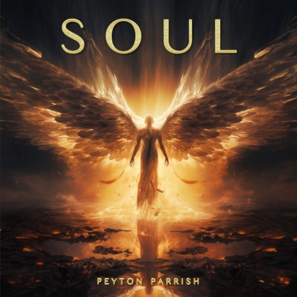 Soul album cover