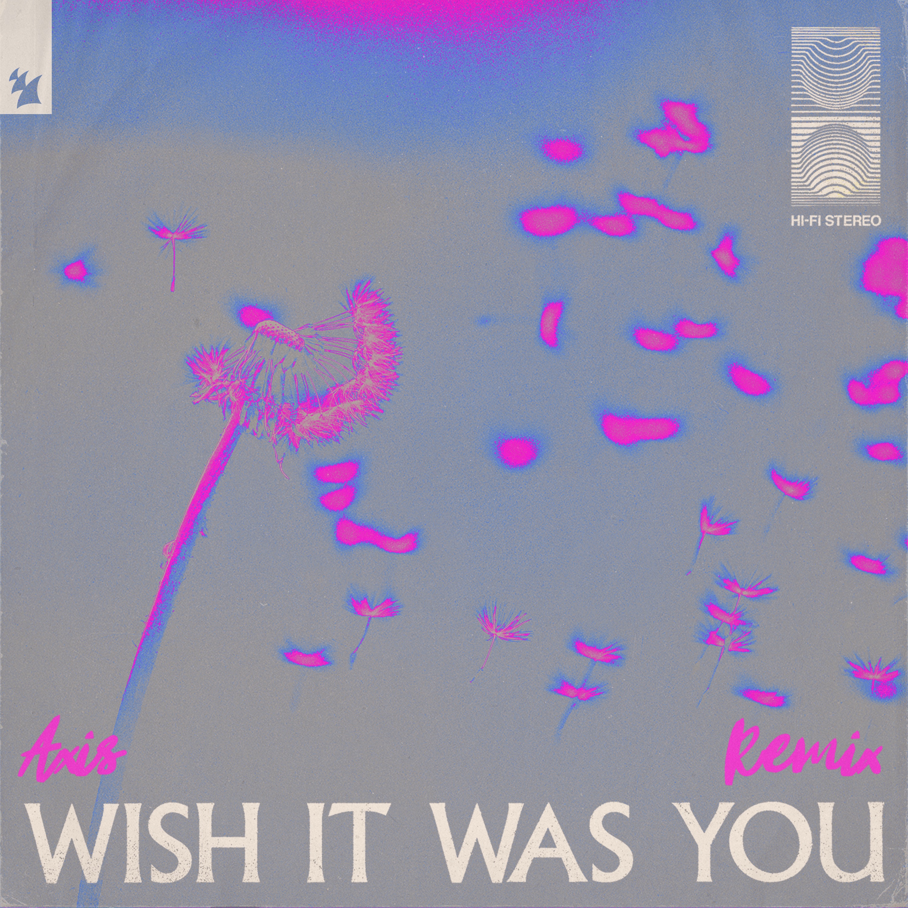 Wish It Was You (feat. Cate Downey) [Axis Remix] - Single album cover