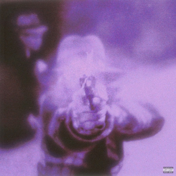 Revelations of Crime - Single album cover