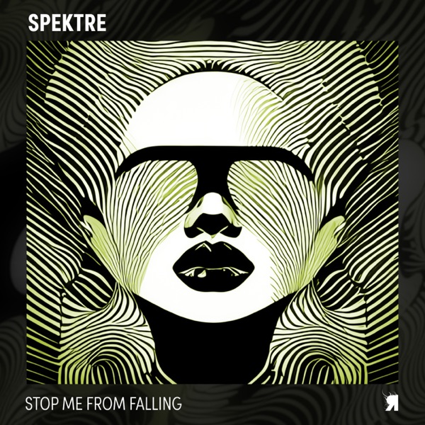 Stop Me from Falling - Single album cover