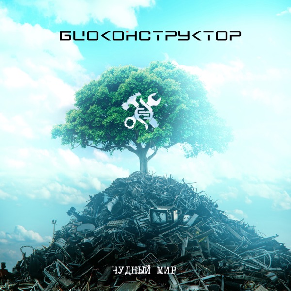 Чудный мир album cover