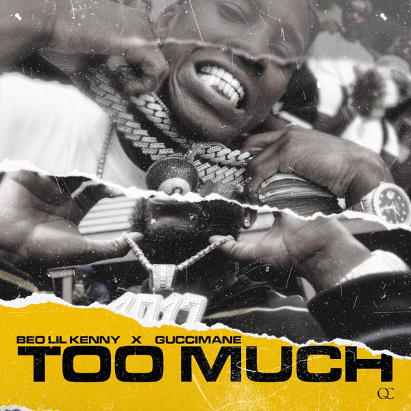 Too Much - Single album cover