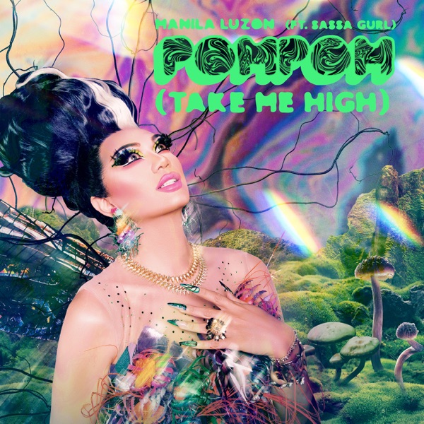 POM POM (Take Me High) ft. Sassa Gurl - Single album cover