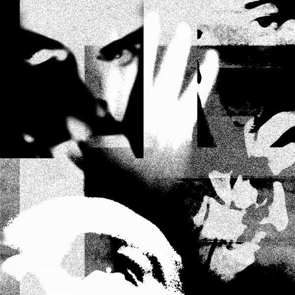 Dimorphous Display - Single album cover