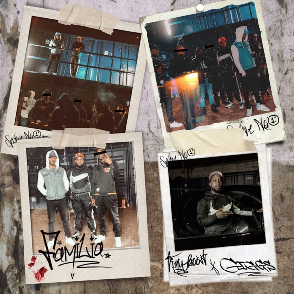 The Family - Single album cover
