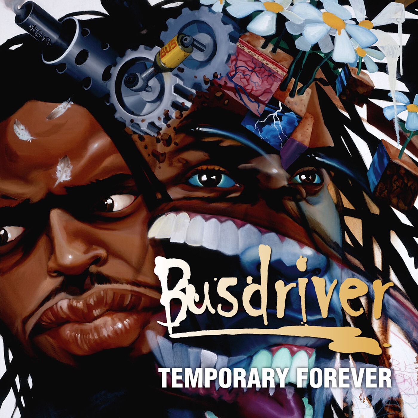 Temporary Forever album cover