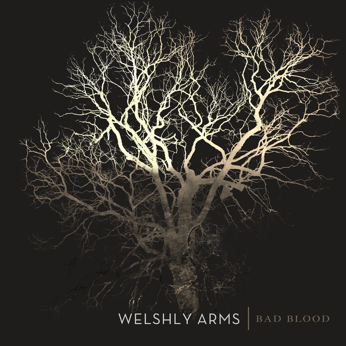 Bad Blood - Single album cover