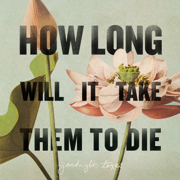 How Long Will It Take Them to Die album cover