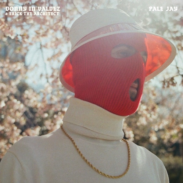 Donny In Valdez (PJ's Flip) - Single album cover