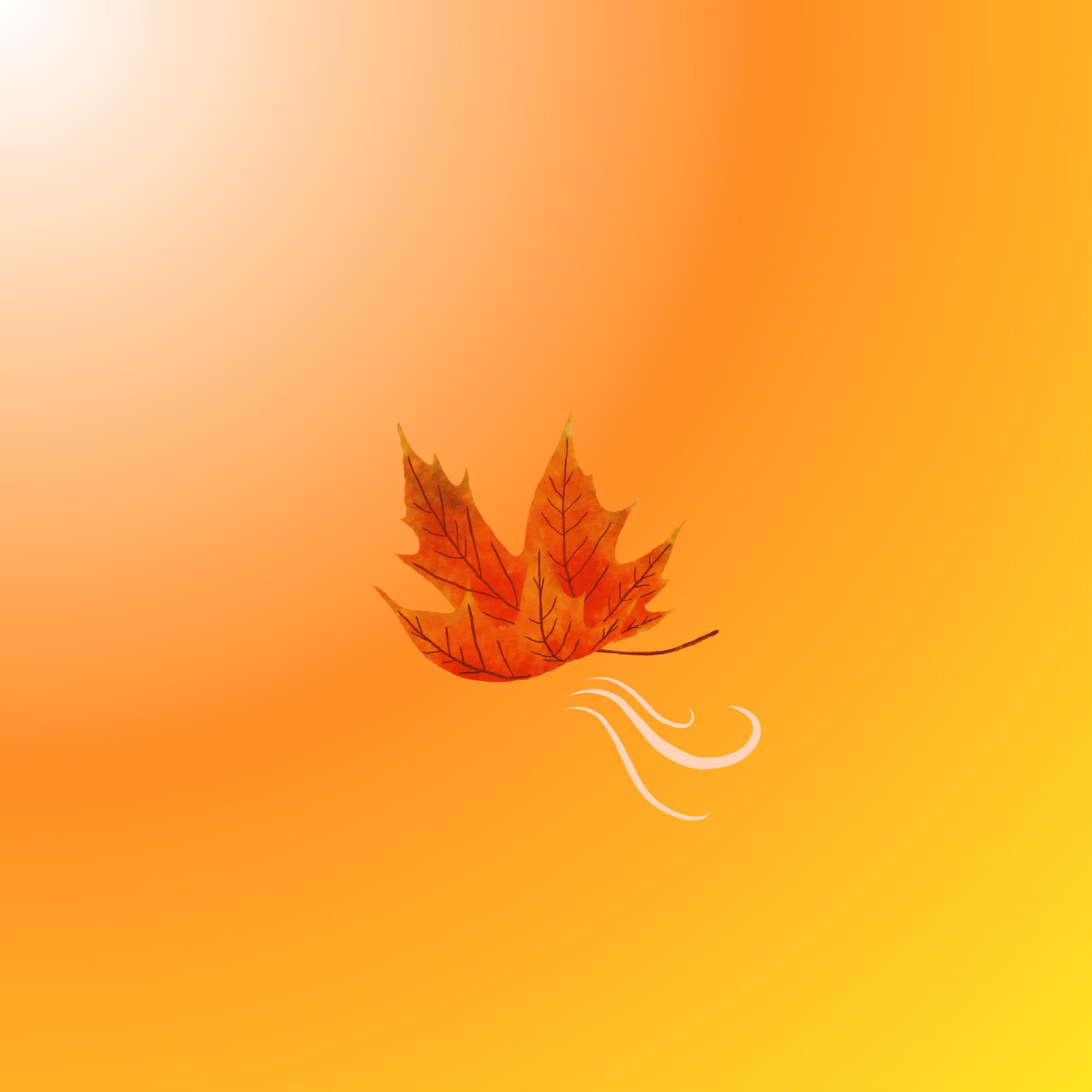 Hello Fall - Single album cover