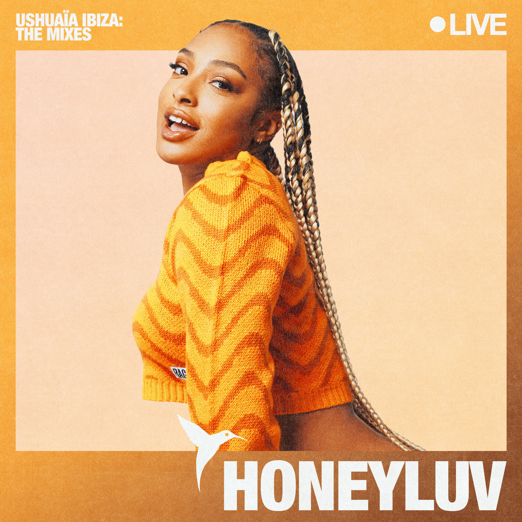 Ushuaïa Ibiza 2023 (DJ Mix) album cover