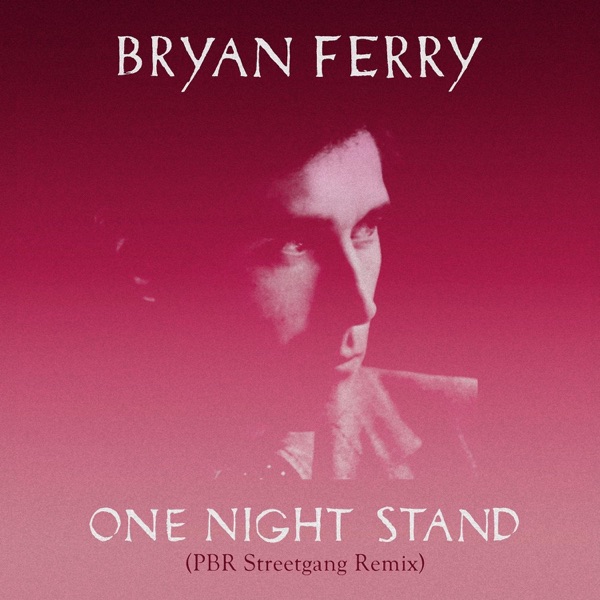 One Night Stand (PBR Streetgang Remix) - Single album cover