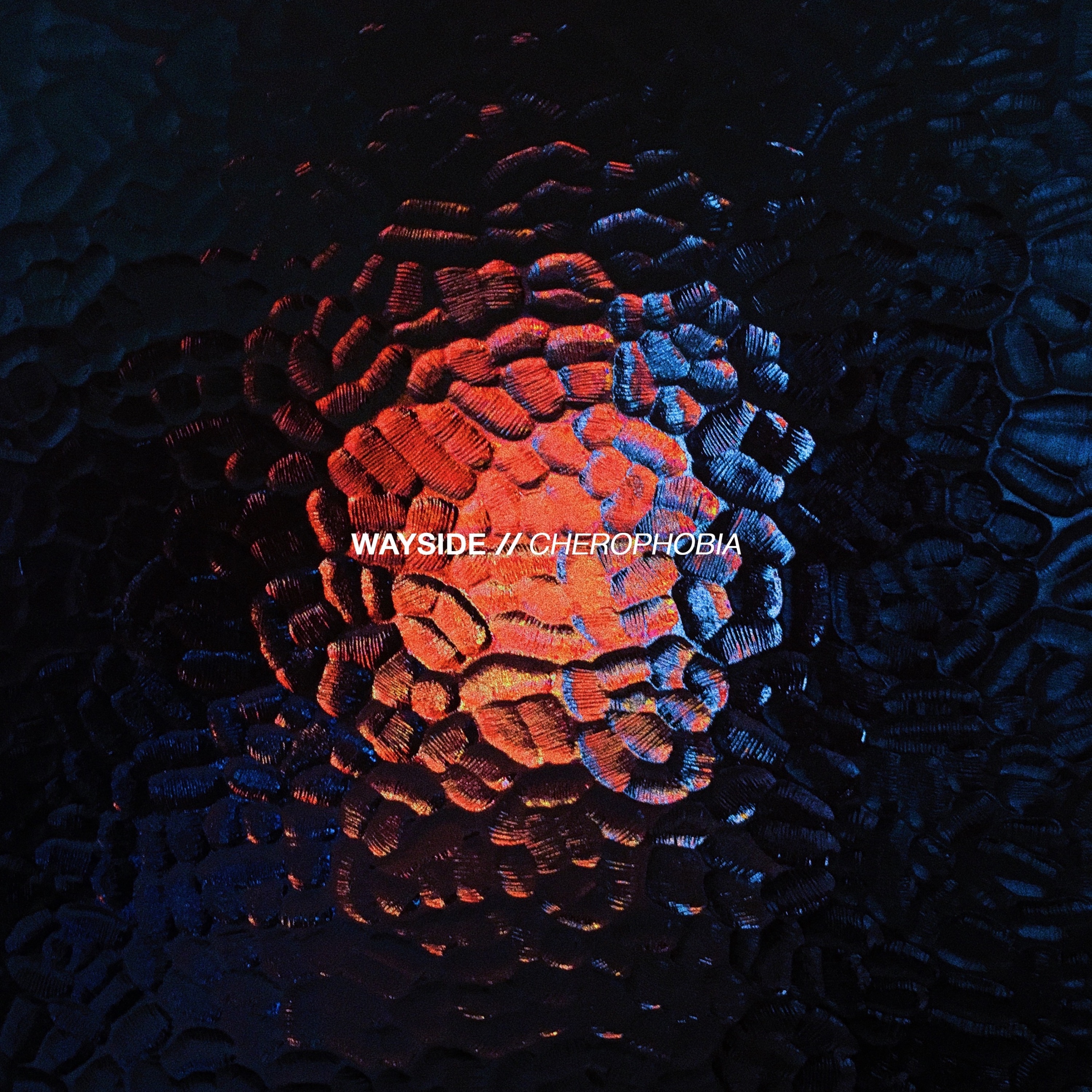 Cherophobia - Single album cover