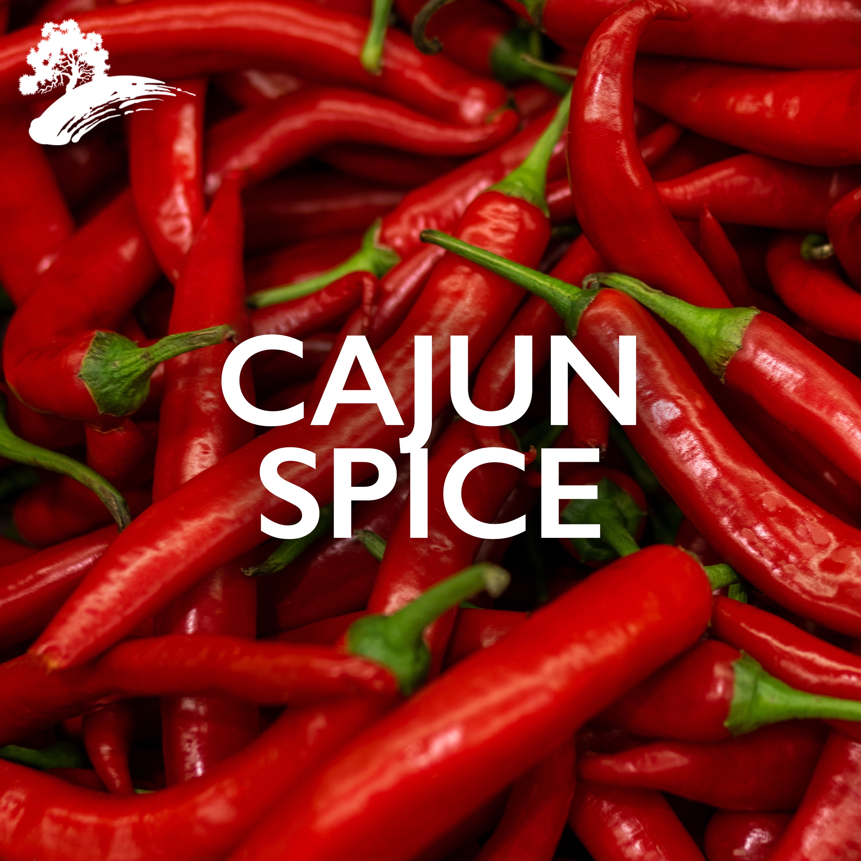 Cajun Spice album cover