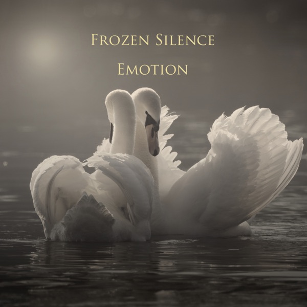 Paalanen: Emotion album cover