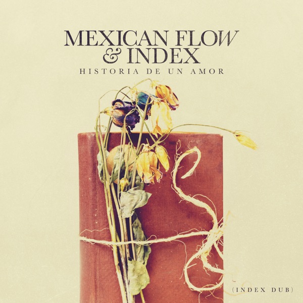 Historia De Un Amor (Index Dub) - Single album cover