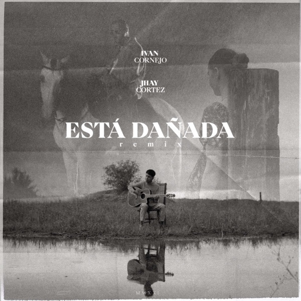 Está Dañada (Remix) - Single album cover