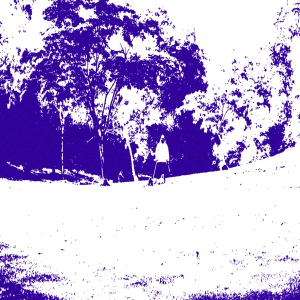 Demos and Rarities album cover