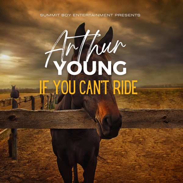 If You Can't Ride - Single album cover