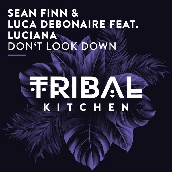 Don't Look Down (feat. Luciana) [Radio Edit] - Single album cover