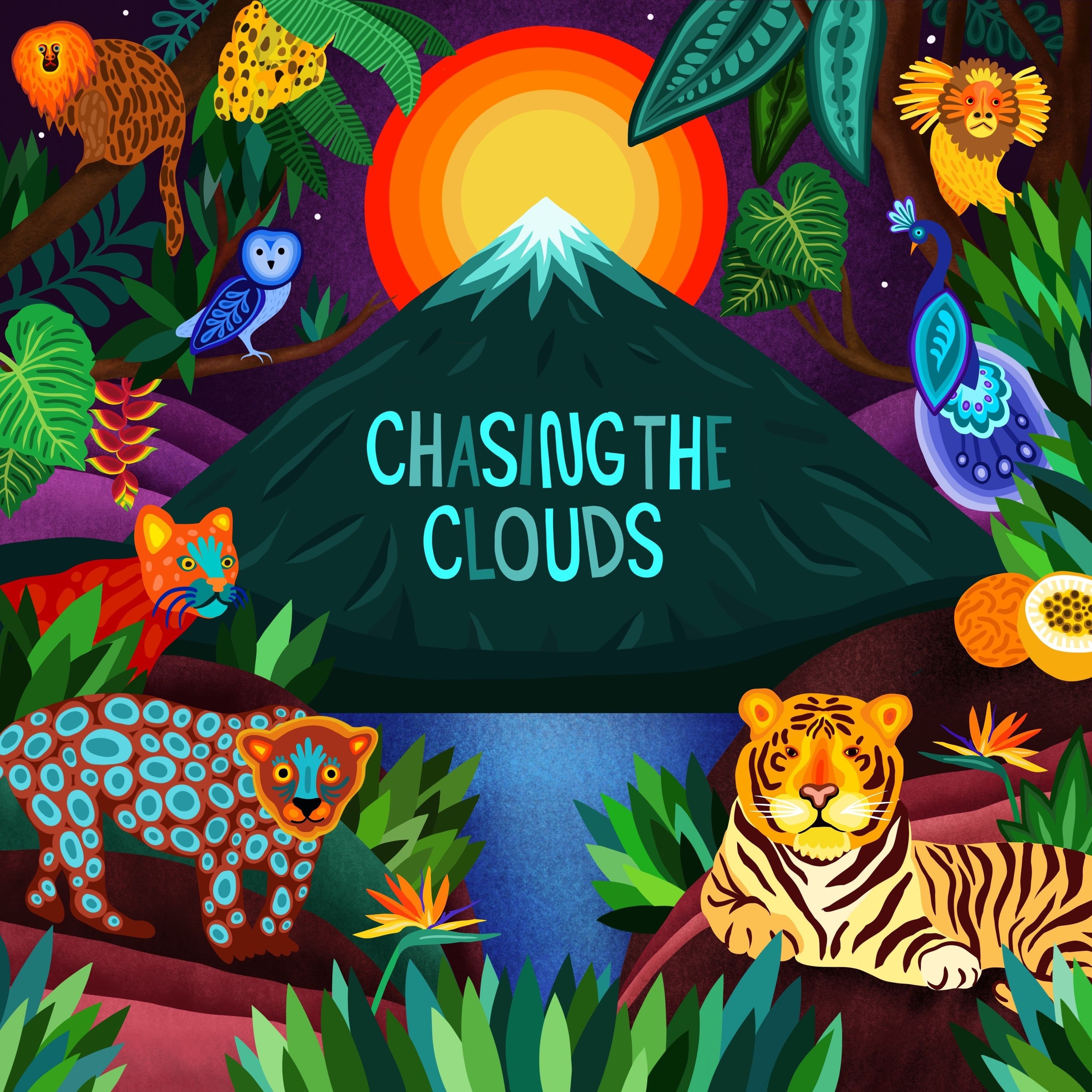 Chasing the Clouds - Single album cover