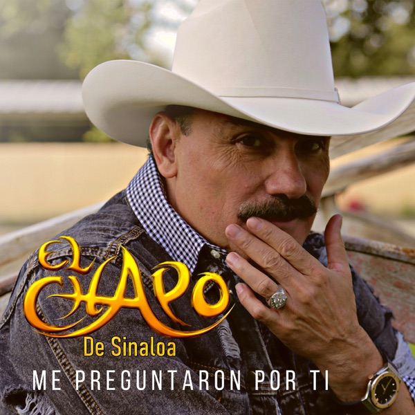 Me Preguntaron Por Ti - Single album cover