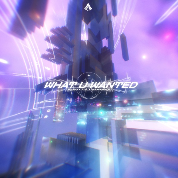 What U Wanted - Single album cover
