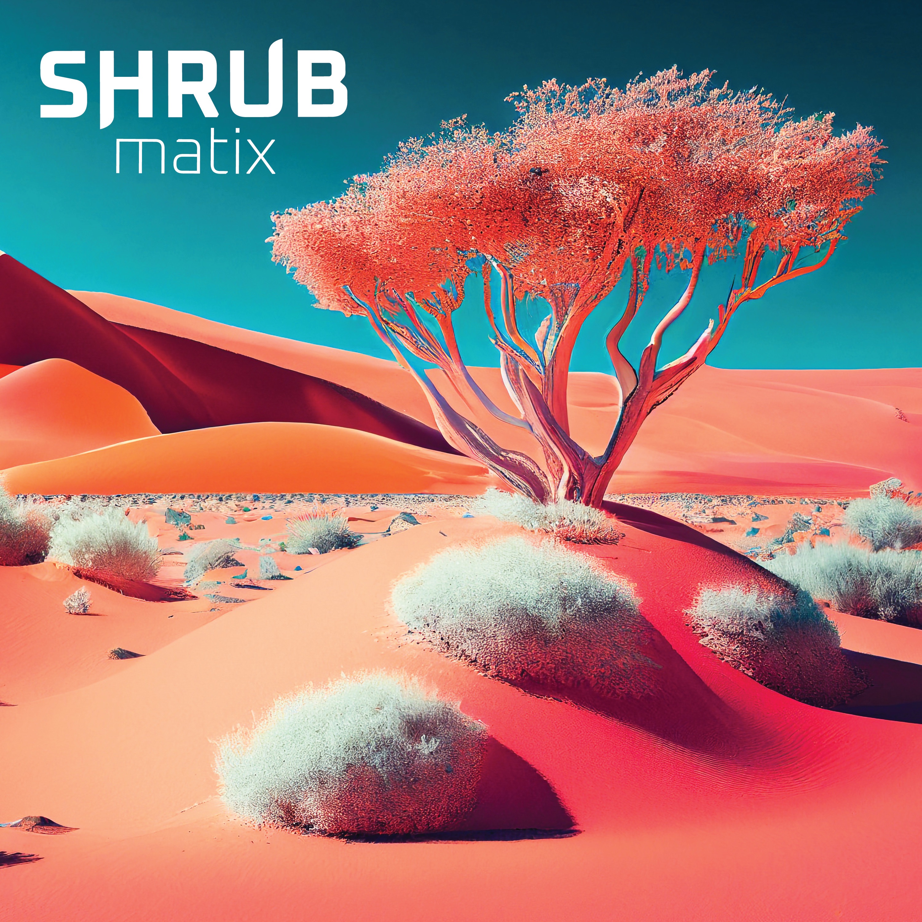 Shrubmatix (feat. Dubmatix) - Single album cover