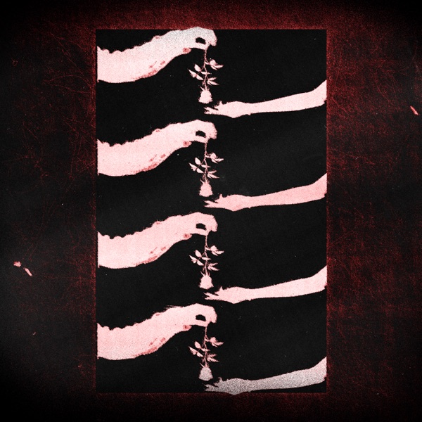 Sleep Well - Single album cover
