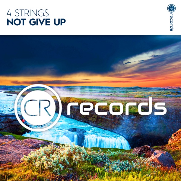 Not Give Up - Single album cover