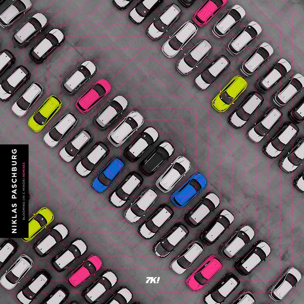 Blooming (In C Minor - Remixes - Single album cover