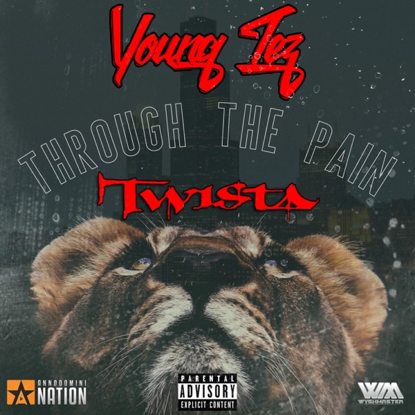 Through the Pain (feat. Twista) - Single album cover