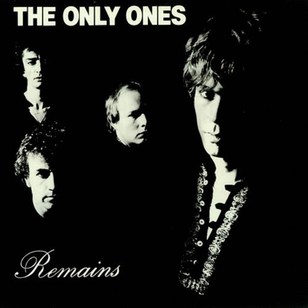 Remains album cover