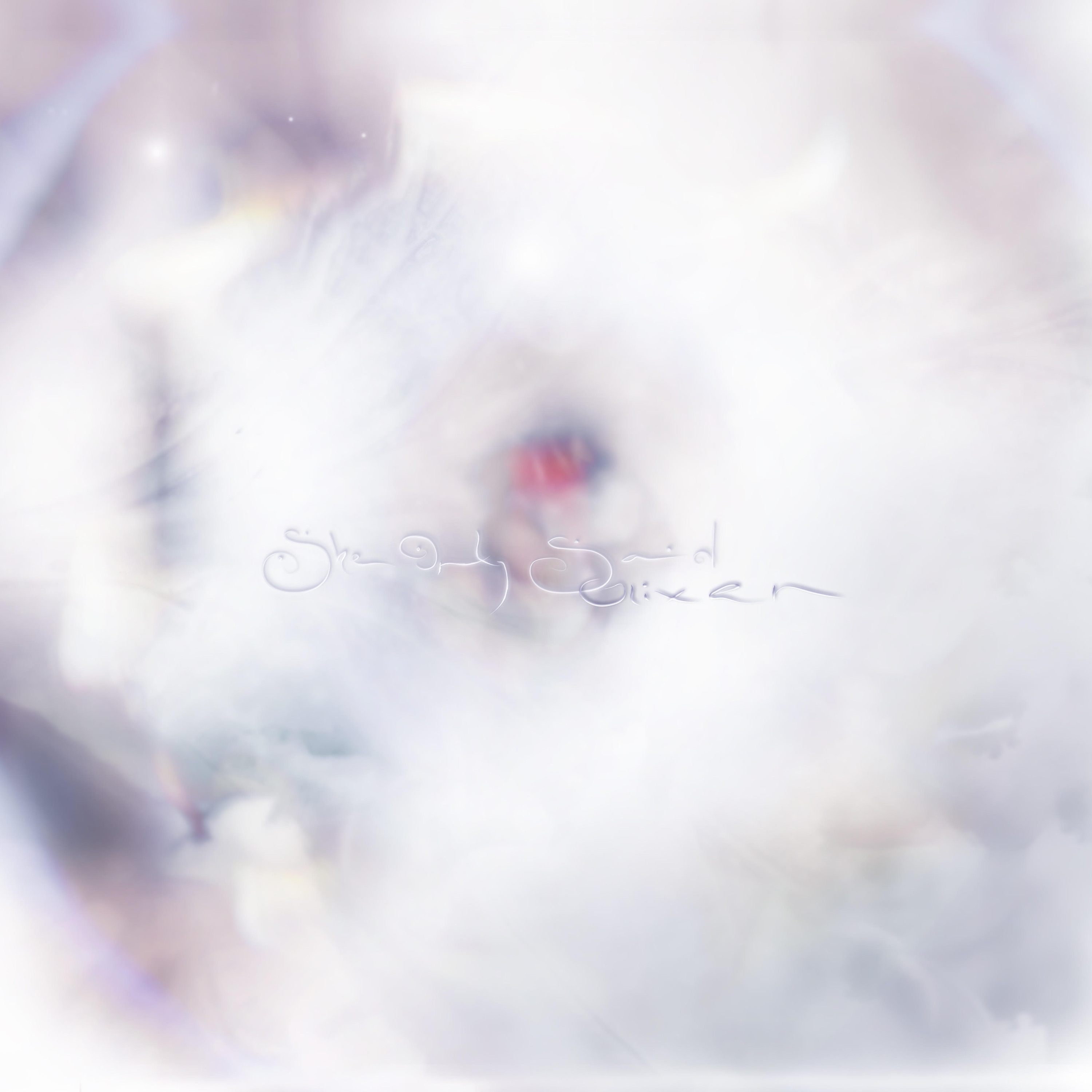 She Only Said - EP album cover