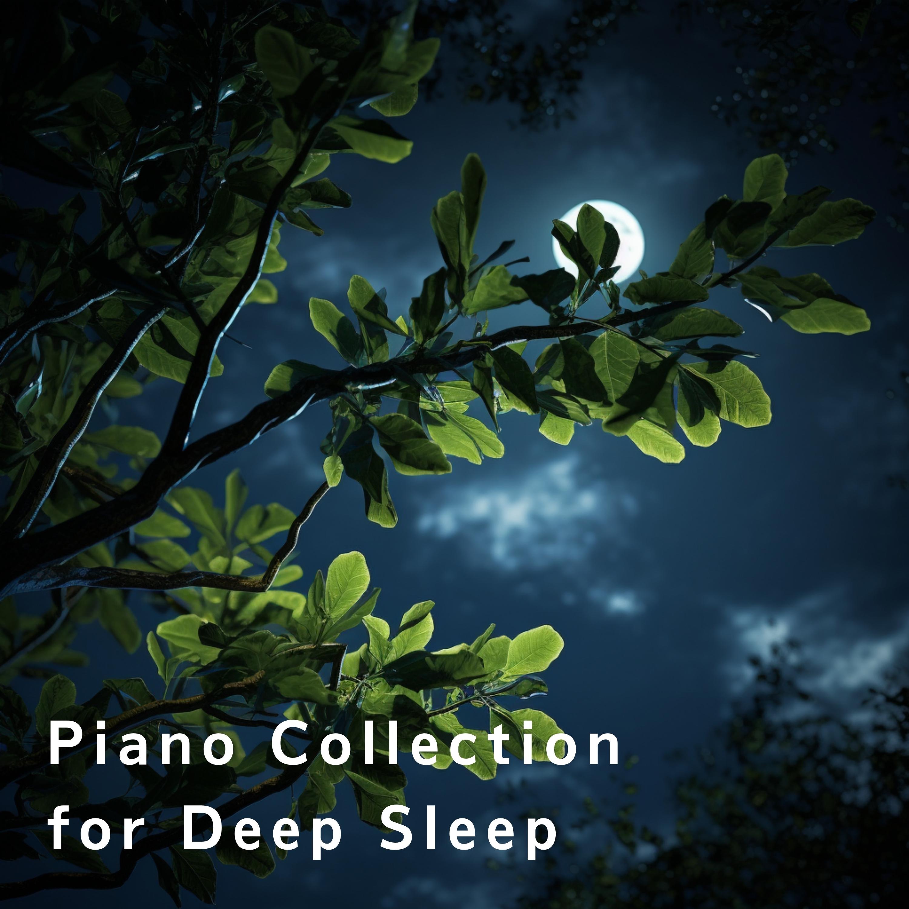 Piano Collection for Deep Sleep album cover
