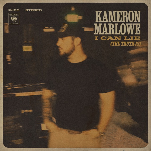 I Can Lie (The Truth Is) - Single album cover