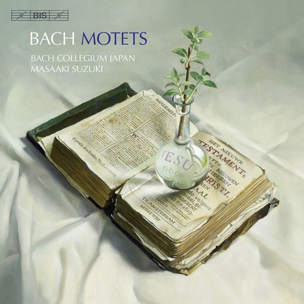 Bach: Motets album cover