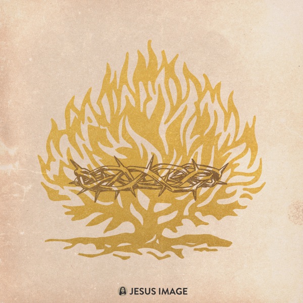 All Honor (Consuming Fire) [Live] - EP album cover