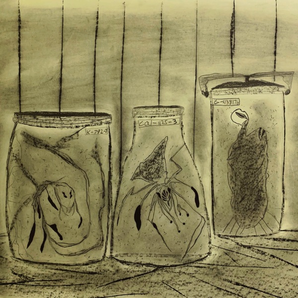 FORMALDEHYDE (feat. Cadence Plenge & Kevin Wulf) - Single album cover