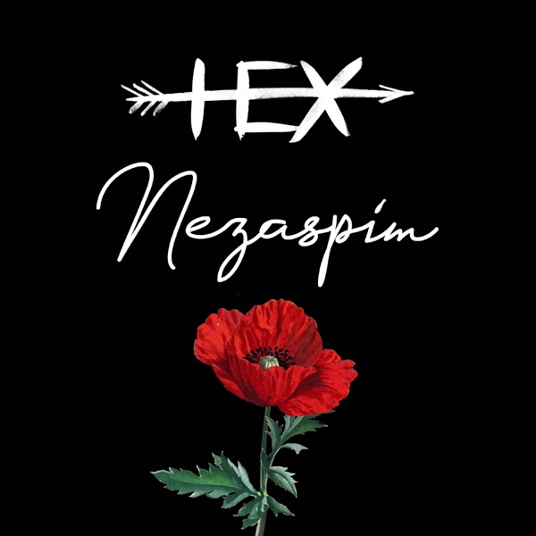 Nezaspím (Radio Edit) - Single album cover
