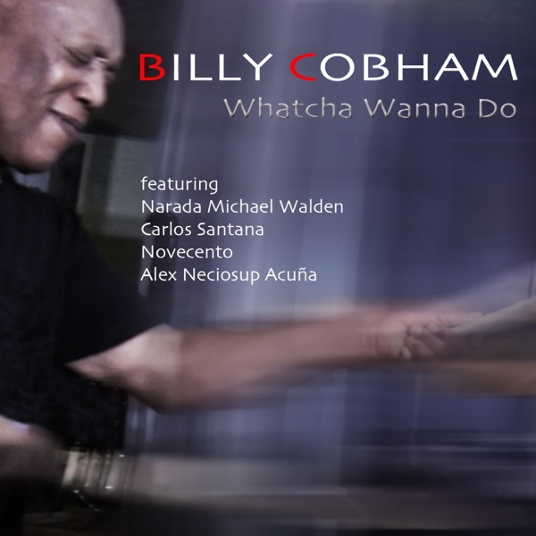 Whatcha Wanna Do (feat. Narada Michael Walden, Carlos Santana, Novecento & Alex Acuna) - Single album cover